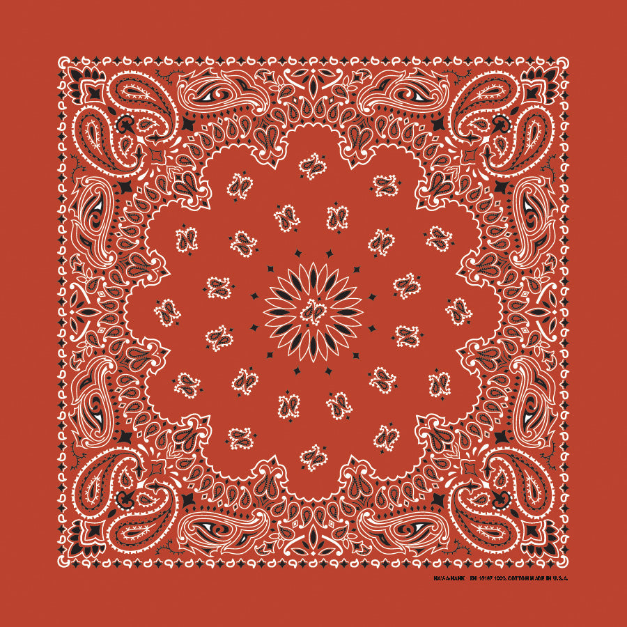 22" Paisley Bandana