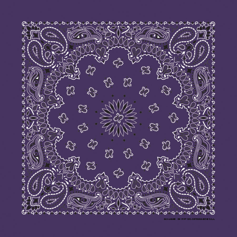 22" Paisley Bandana