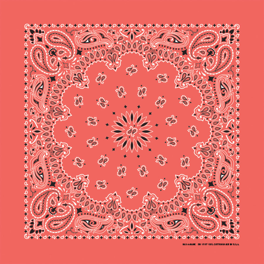 22" Paisley Bandana