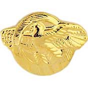 WWII Honorable Discharge Pin, 'Ruptured Duck'