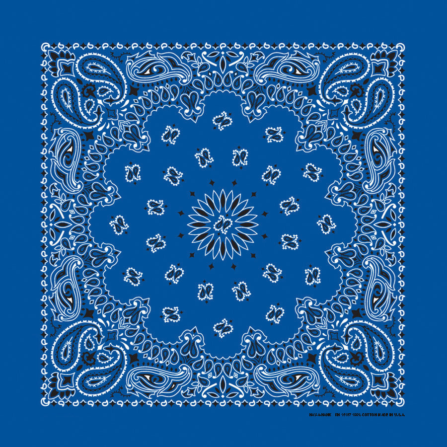 22" Paisley Bandana