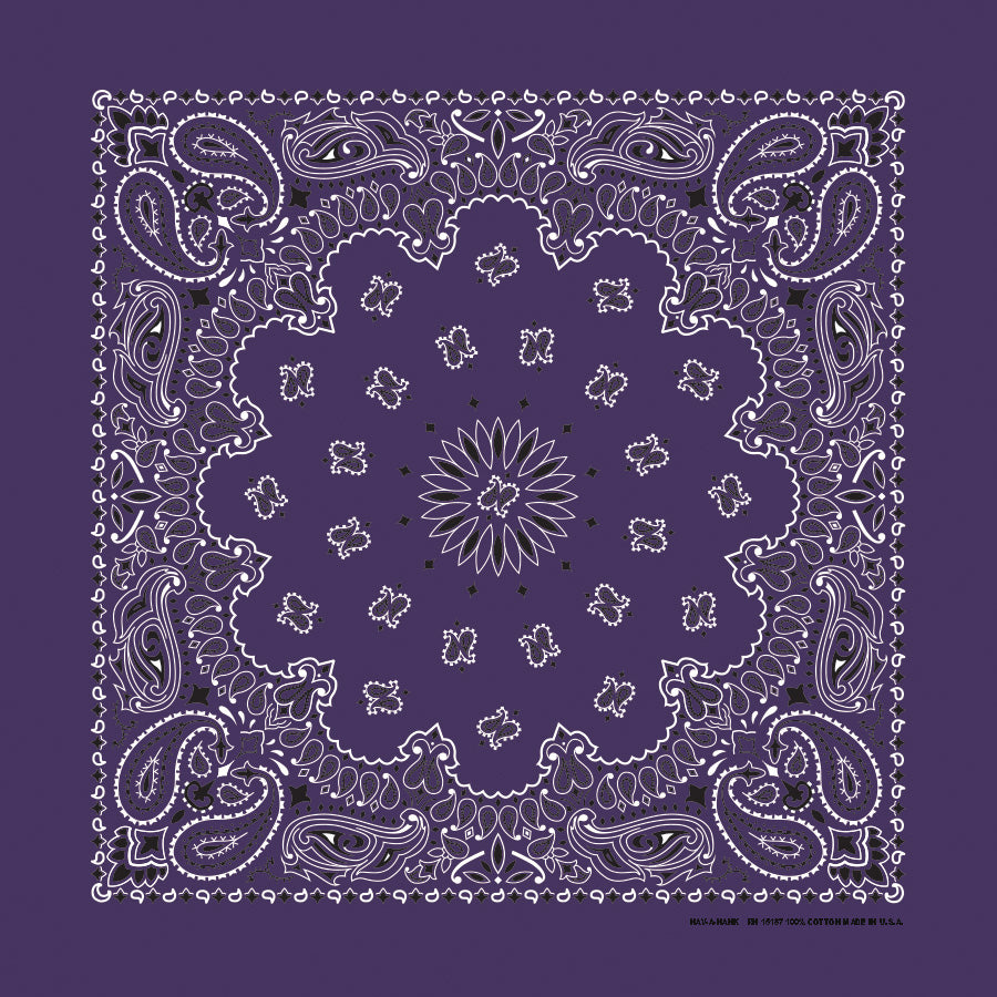 22" Paisley Bandana