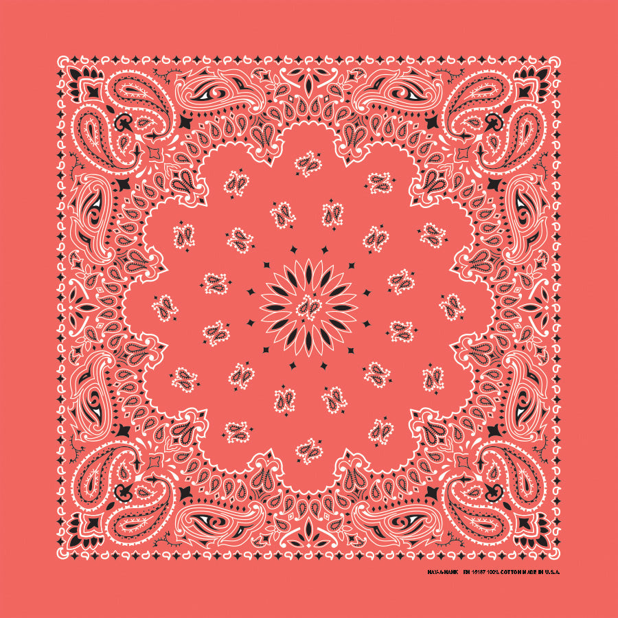 22" Paisley Bandana