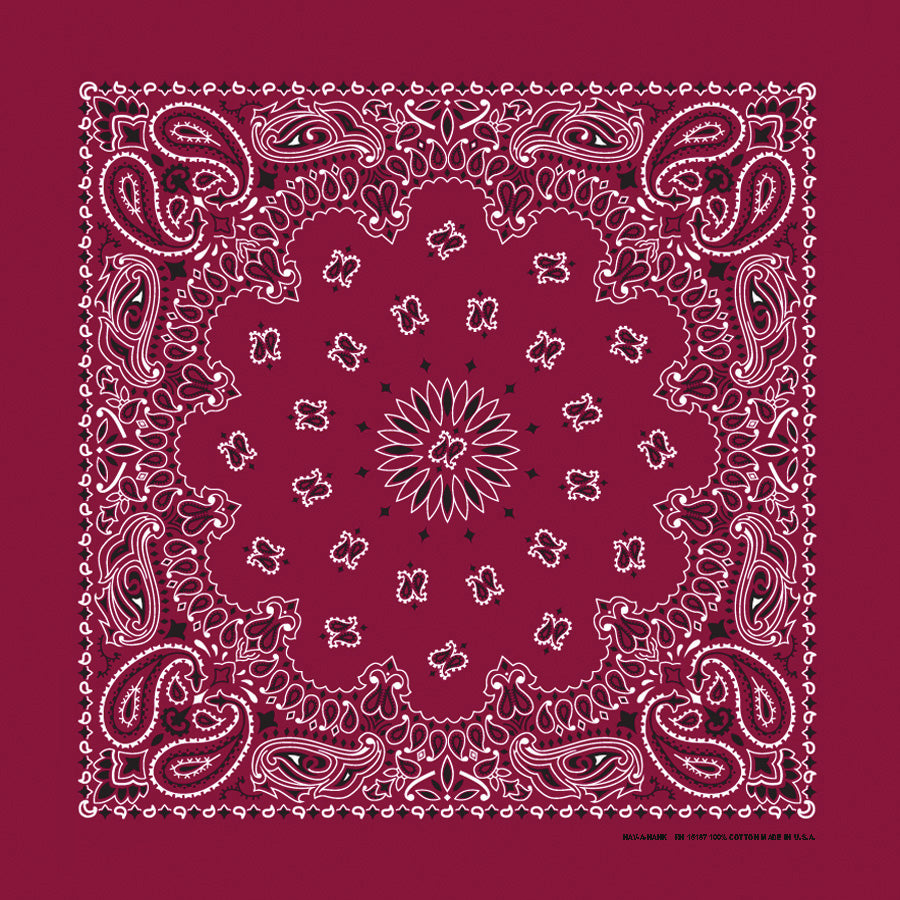 22" Paisley Bandana