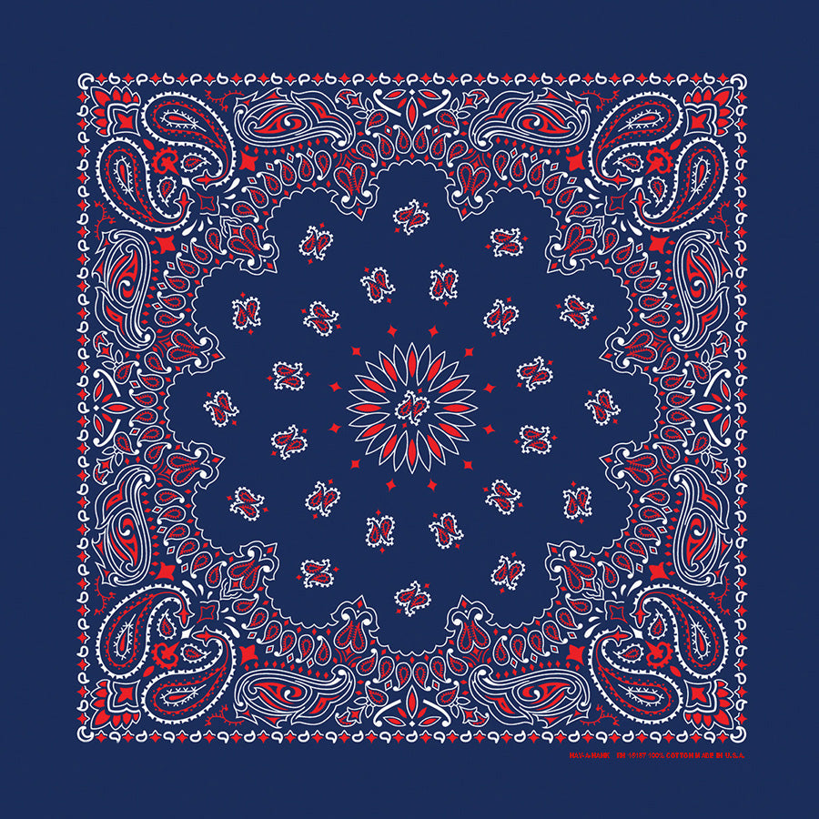 22" Paisley Bandana