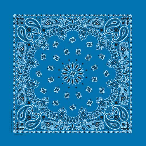 22" Paisley Bandana