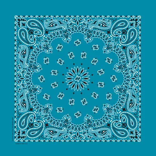 22" Paisley Bandana