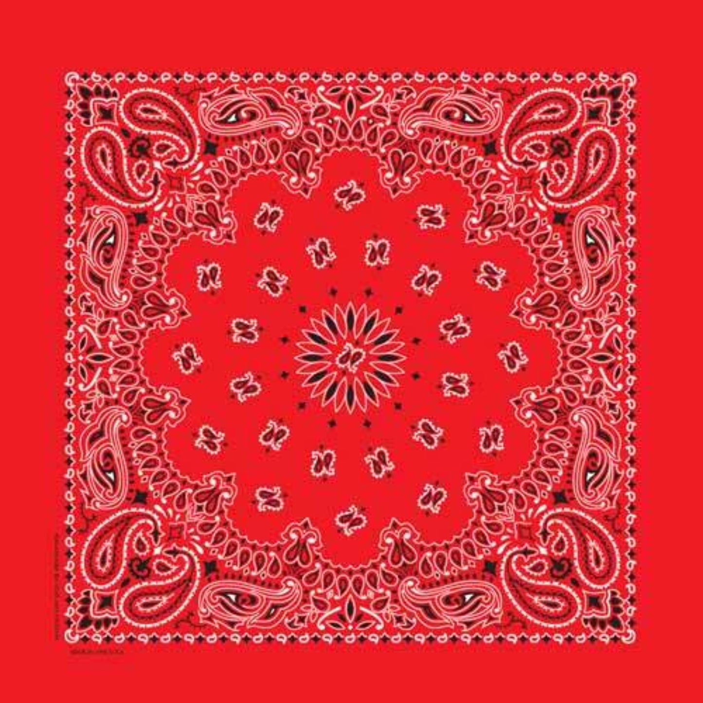 22" Paisley Bandana