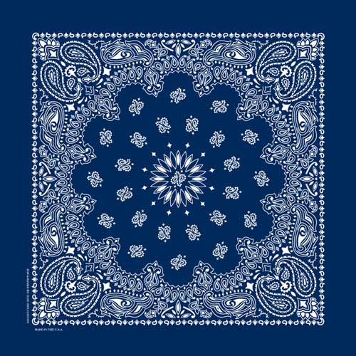 22" Paisley Bandana