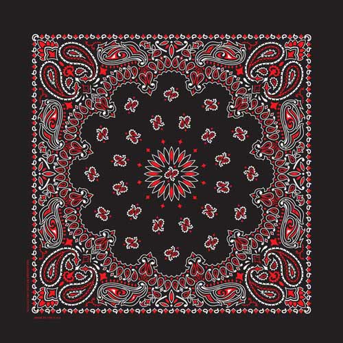 22" Paisley Bandana