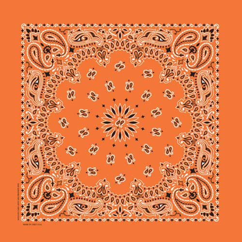 22" Paisley Bandana