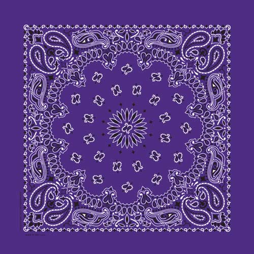 22" Paisley Bandana