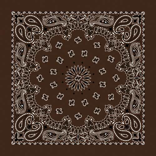 22" Paisley Bandana