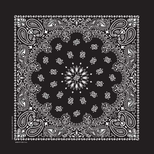 22" Paisley Bandana