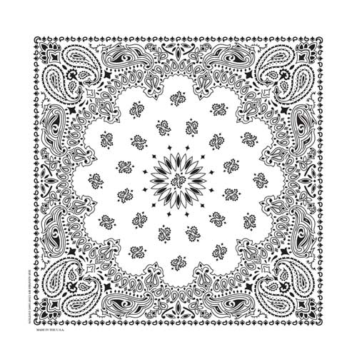 22" Paisley Bandana