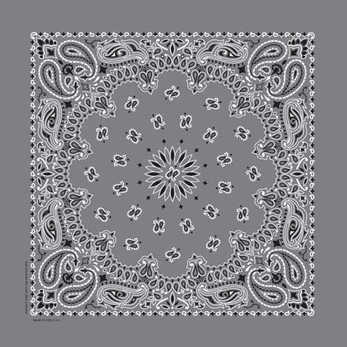 22" Paisley Bandana