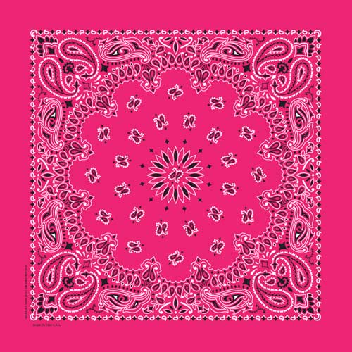 22" Paisley Bandana