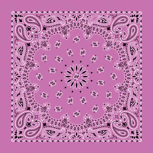 22" Paisley Bandana