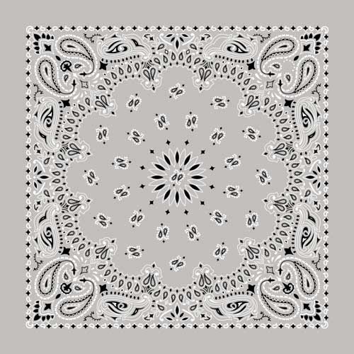 22" Paisley Bandana